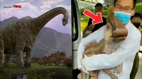 crean dinosaurios en china